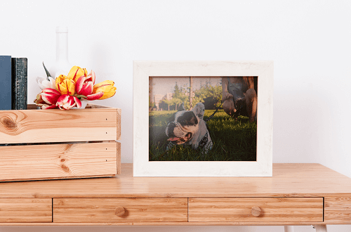 Pet Cremation Sydney NSW Australia - Pet Memorial Australia