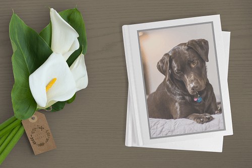 Pet Cremation Sydney NSW - Pet Memorial Australia