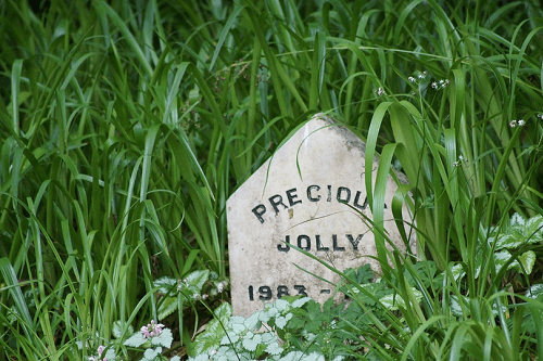 Pet Memorials Sydney