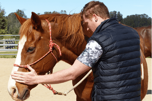 Pet Memories - Pet Memorial Australia