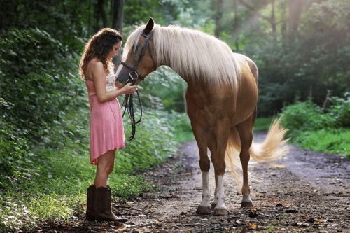 Grieving the Loss of a Pet Euthanasia Sydney