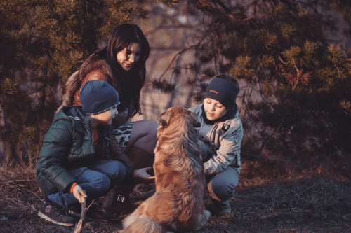 When to put a dog down due to old age in Australia