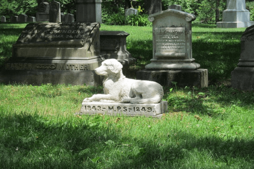 Pet cemetery Sydney - Berkshire Park