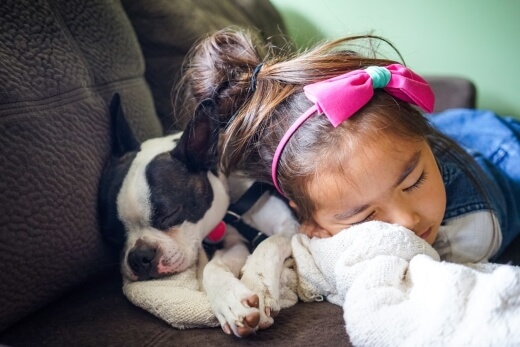 child comforting dog after in home dog euthanasia