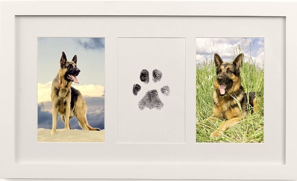 Paw Print Picture Frame Kit for Pets