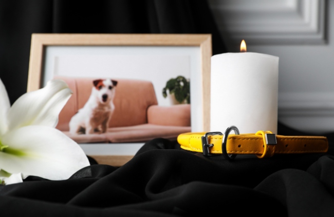 Pet Memorial Candles Australia