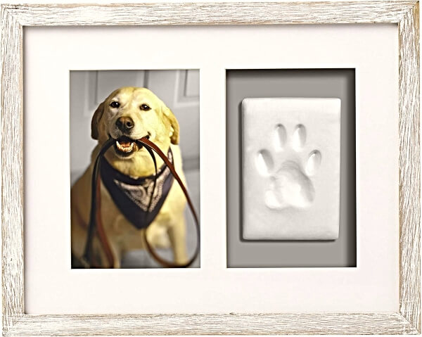 Pet Pawprints Wall Picture Frame and Clay Impression Kit