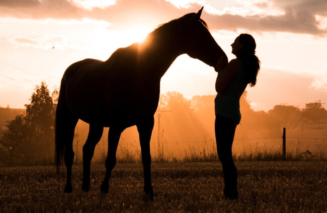 Saying goodbye to our beloved horse is the hardest part of loving them