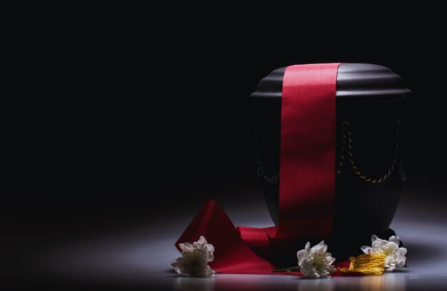 Ensure a smooth and stress-free cremation for your special animal companion