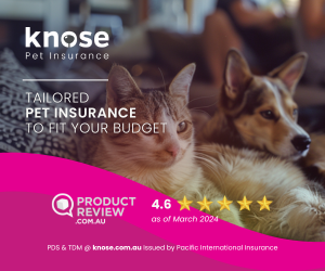 Knose cat insurance and dog pet insurance