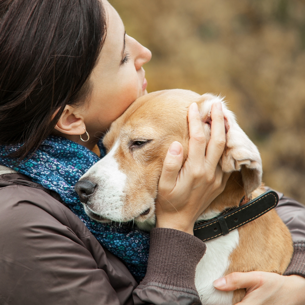 Pet cremation in Sydney, NSW