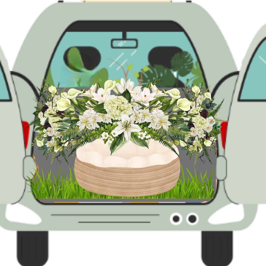 Sydney pet cremation pickup within 24 hours