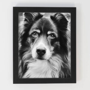 Pet Cremation Sydney Keepsake Memorial, Pet Memorial Australia Product, Framed Art Noir Black Pet Cremation Sydney Keepsake Memorial, Pet Memorial Australia Product, Framed Art Noir Black