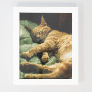 Pet Cremation Sydney Keepsake Memorial, Pet Memorial Australia Product, Framed Art Oil Painting White Pet Cremation Sydney Keepsake Memorial, Pet Memorial Australia Product, Framed Art Oil Painting White
