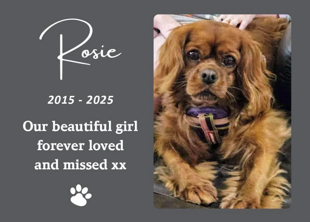 Rosie, Siliva C Pet Memorial Australia Review - pet urn, pet keepsakes
