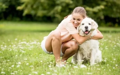 20 Poems on Loss of a Dog