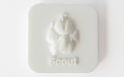 3D Pet Paw, Nose Or Claw Memorial Print