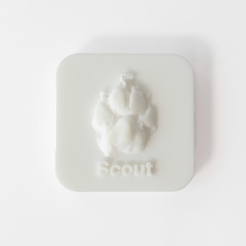 3D Pet Paw, Nose Or Claw Memorial Print