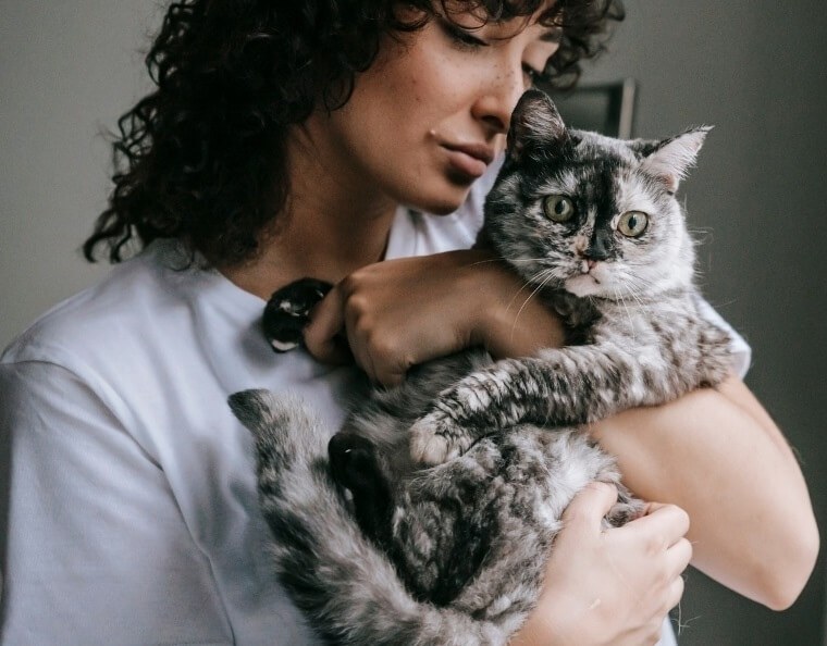 Cat cremation in Sydney, a woman holding her grey tabby cat, Pet Memorial Australia