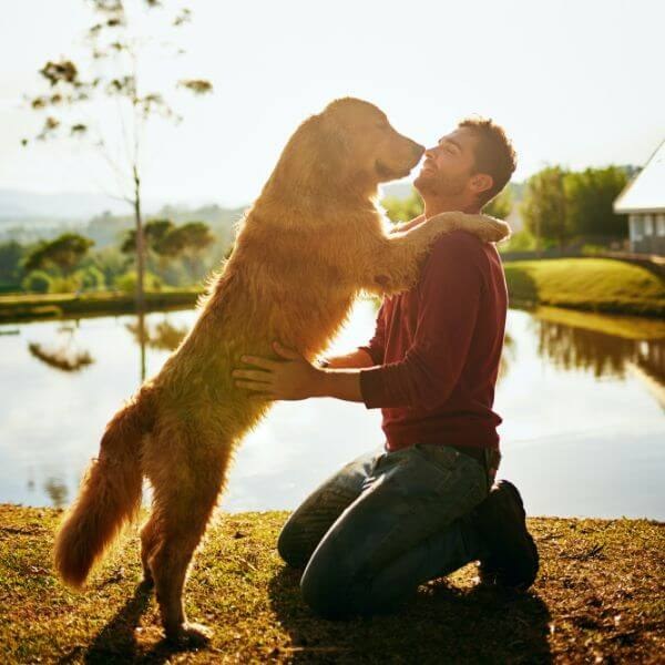 Pet Memorial Australia, a man kneeling with his golden retriever beside a lake, pet cremation in Sydney